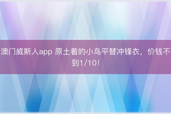 澳门威斯人app 原土着的小鸟平替冲锋衣，价钱不到1/10！