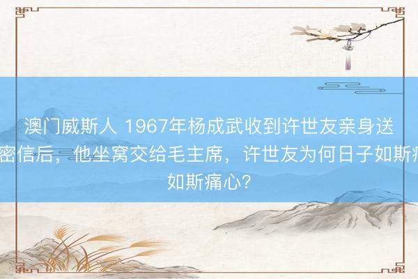 澳门威斯人 1967年杨成武收到许世友亲身送来的密信后，他坐窝交给毛主席，许世友为何日子如斯痛心？
